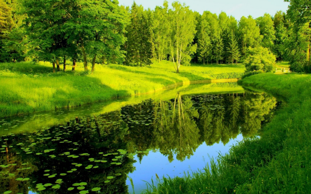 1920x1080 pix. Wallpaper river, park, trees, greenery, reflection, pavlovsk, russia, nature