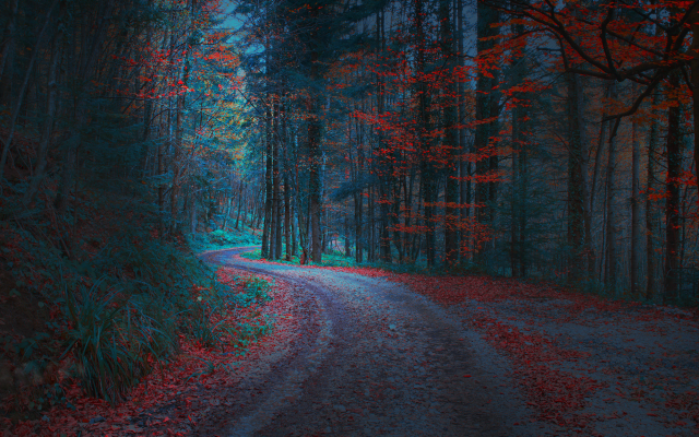 2000x1148 pix. Wallpaper forest, road, leaves, leaf, autumn, nature