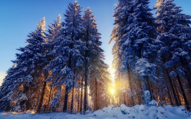 2048x1151 pix. Wallpaper winter, nature, tree, sun, forest, snow
