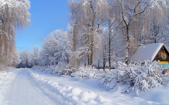 4912x3264 pix. Wallpaper nature, winter, road, house, trees, birches, snow, russia