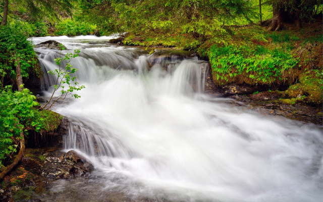 7362x4920 pix. Wallpaper cascade, waterfall, greenery, forest, stream, nature