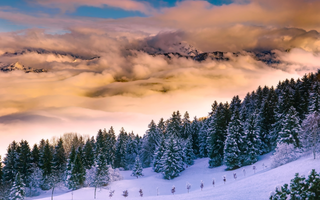 2200x1457 pix. Wallpaper italy, nature, landscape, mountains, forest, fir, winter, snow, clouds, fog