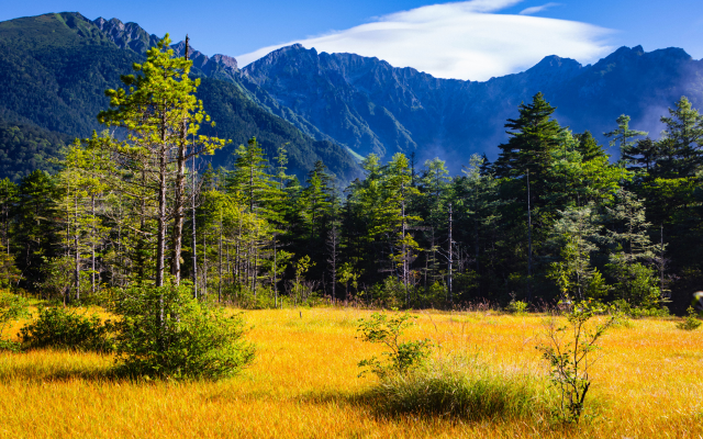 3600x2400 pix. Wallpaper mountains, forest, japan, nature