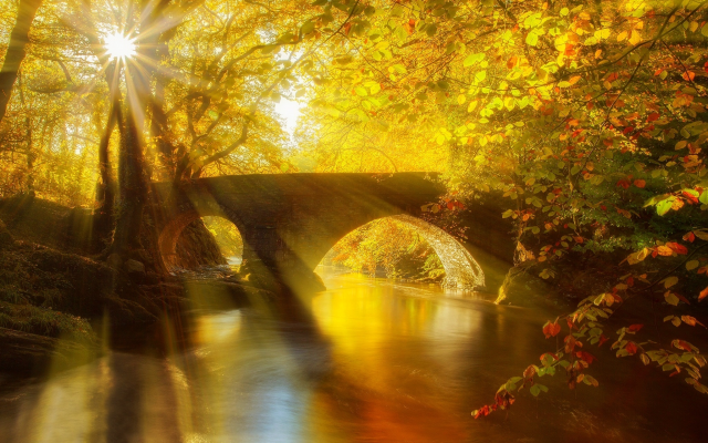 2048x1365 pix. Wallpaper nature, autumn, park, canal, bridge, trees, sun rays