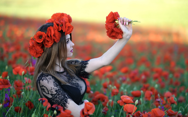 2560x1708 pix. Wallpaper flowers, women, outdoors, red flowers, cleavage, see-through clothing, sideboob, busty, poppies, poppy