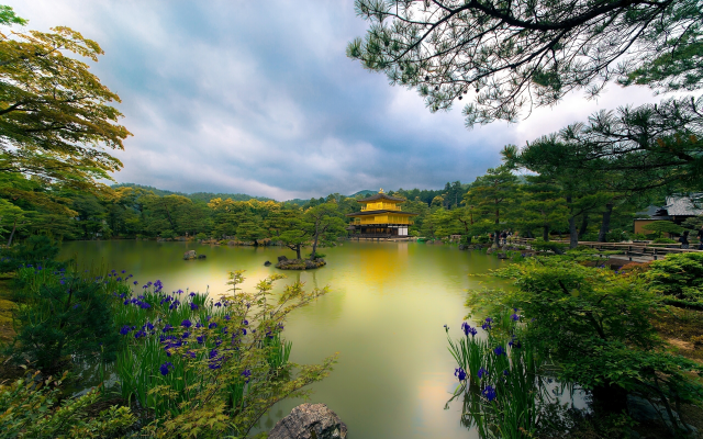 2560x1603 pix. Wallpaper kyoto, japan, golden pavilion, pond, park, nature
