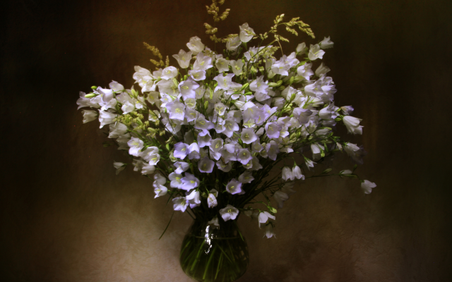 2400x1960 pix. Wallpaper bells, flowers, vase