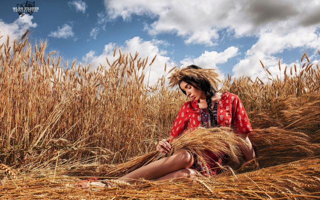 2560x1707 pix. Wallpaper women, legs, wheat, field, brunette