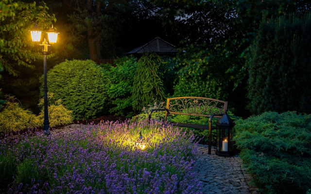 1920x1200 pix. Wallpaper bench, park, lantern, flowers, night, nature