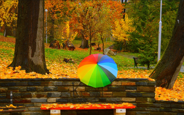 3000x1855 pix. Wallpaper autumn, trees, umbrella, park, fall, foliage, bench, trees
