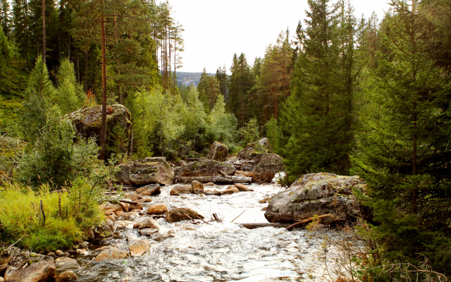 5000x3334 pix. Wallpaper tributary, forest, river, norway, nature, rocks