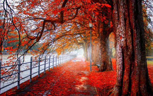 3840x2560 pix. Wallpaper nature, autumn, park, trees, alley, path, river, fence