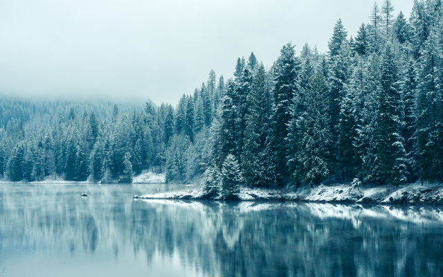 3840x2160 pix. Wallpaper winter, snow, nature, lake, frost, tree