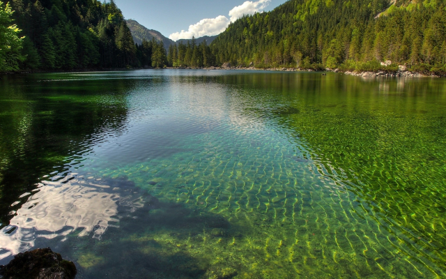 4096x2160 pix. Wallpaper austria, lake, forest, clear water, nature