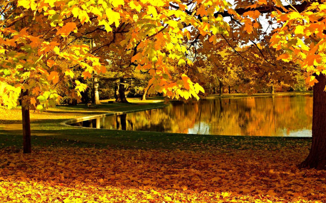 2048x1365 pix. Wallpaper nature, autumn, park, trees, pond, leaf