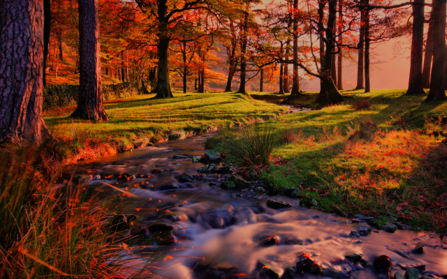4266x2844 pix. Wallpaper nature, landscape, forest, autumn, stream, sunset