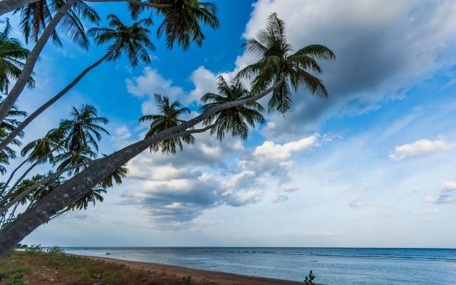2200x1377 pix. Wallpaper Sri Lanka, nature, landscape, palm trees, beach, tropical, sea, clouds, sunrise, water