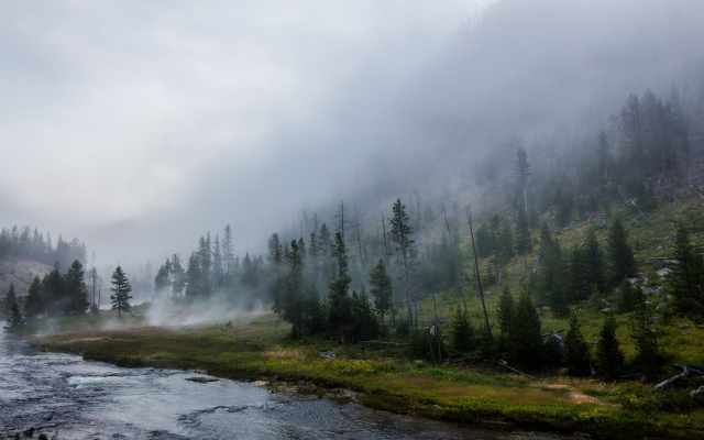 1920x1200 pix. Wallpaper landscape, nature, Yellowstone National Park, forest, river, mist, mountain, trees, grass
