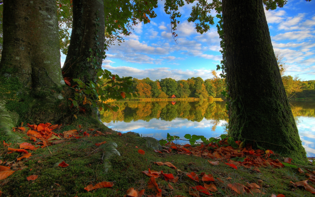 2592x1728 pix. Wallpaper nature, landscape, autumn, tree, forest, lake, grass, leaves