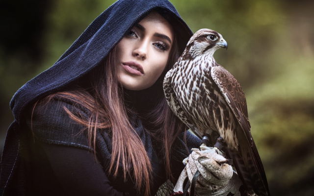 2048x1319 pix. Wallpaper girl, bird, falcon, women, animals