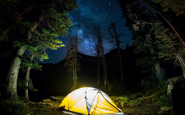 2200x1600 pix. Wallpaper nature, landscape, camping, forest, starry night, Milky Way, trees, long exposure, lights, shrubs
