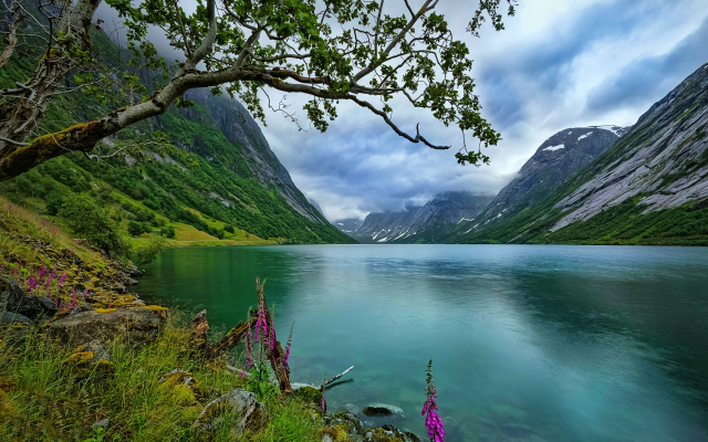1920x1200 pix. Wallpaper nature, landscape, lake, wildflowers, trees, Norway, grass, clouds, summer, water