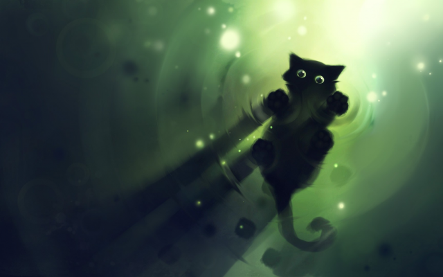 1920x1080 pix. Wallpaper Black Cat, water, shadow, lights, green, cute animals