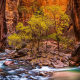 landscape, nature, Zion National Park, river, canyon, Utah, trees, erosion, red wallpaper