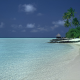 nature, landscape, catamaran, beach, palm trees, sand, shrubs, tropical, island, sea, summer wallpaper