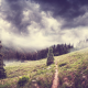 landscape, forest, hill, tree, pine tree, clouds wallpaper