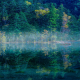 mist, nature, landscape, lake, reflection, forest, water, morning, Japan, tree wallpaper