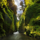 canyon, Oregon, usa, sun rays, moss, river, shrubs, nature, landscape wallpaper