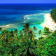 kauai, hawaii, usa, beach, ocean, palm, tropics wallpaper