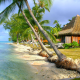 tropical, beach, sea, ocean, palm trees, bungalow, nature wallpaper