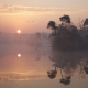 fog, lake, calm, reflections, water, sunrise, nature, landscape wallpaper