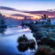 nature, fog, sunrise, tree, river, Germany, calm, water wallpaper