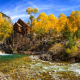 Colorado, autumn, nature, mill, river, forest, tree wallpaper