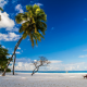 Maldives, beach, chair, nature, palm tree, sand, sky, tropical, landscape wallpaper