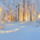 winter, nature, forest, snow, landscape, tree, sun rays, frost wallpaper