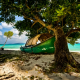 nature, beach, island, tropical, India, boat, tree, sea wallpaper