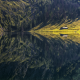 lake, reflections, nature, mountains, forest, cabin, grass, water, tree, calm wallpaper