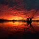 sunset, horizon, nature, tree, dead tree, clouds, water, silhouette, reflections wallpaper
