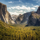 Yellowstone National Park, california, usa, mountains, valley, forest, tree wallpaper
