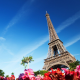 Eiffel Tower, architecture, flowers, Paris, France wallpaper