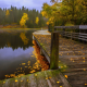 walkway, fall, leaves, nature, lake, forest, tree, water wallpaper