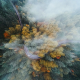 oregon, forest, road, highway, fall, mist, drone, aerial view, tree, nature wallpaper