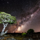 milky way, nature, sky, night, stars, tree, long exposure wallpaper