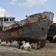 aral sea, kazahstan, wreck, vehicle, ship, camel, animals wallpaper