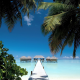 maldives, beach, walkway, palm tree, ocean, water villa, tropical, nature wallpaper
