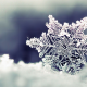 snowflake, winter, closeup, macro, snow, christmas wallpaper